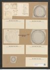 Campylodiscus adriaticus Grun. (de-Toni-Nr.: Genus 57, Species 2468) Zeichnungen Sammlung Grunow Nr. 4967 (NHMW-BOT-W0373195)